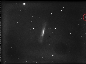 NGC3628-L.jpg
