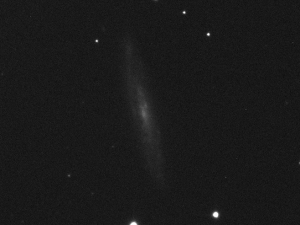NGC 5301-S001-R001-C001-NoFilt.jpg