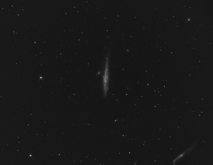 NGC4631-L.jpg