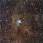 NGC-7023-L_OSC.jpg