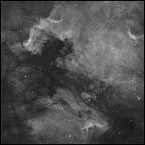 NGC7000_m.jpg