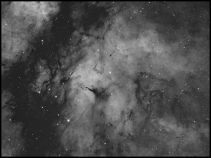 IC1318_mid.jpg