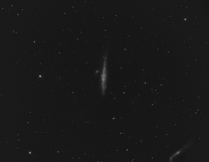 NGC4631-L_s.jpg