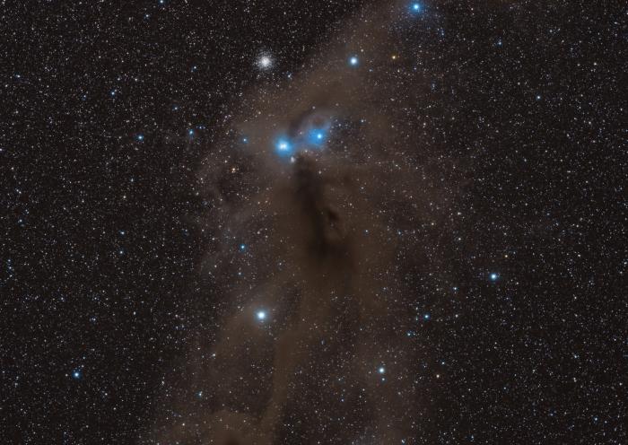 NGC6729-stack_50.jpg