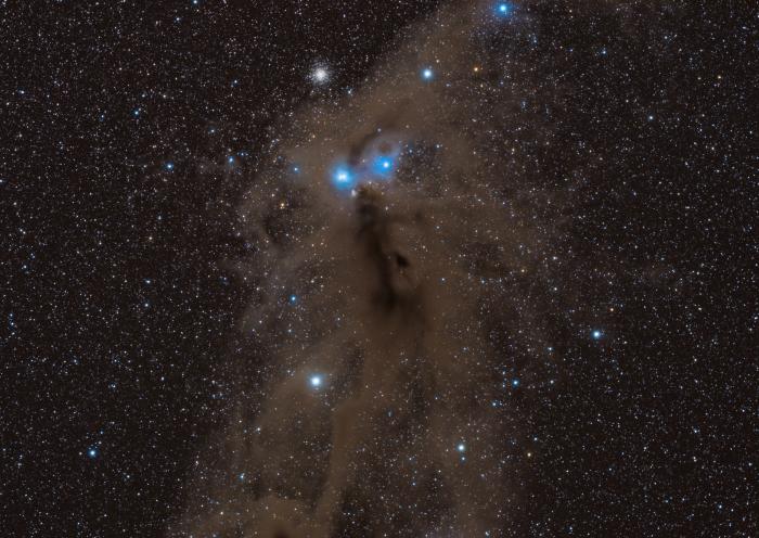 NGC6729-stack_50.jpg
