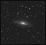 NGC 7331_bw.jpg