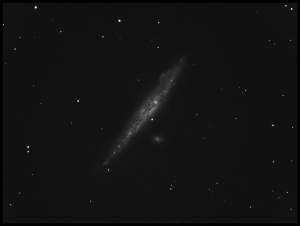 NGC4631.jpg