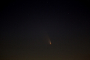 Kometa PANSTARRS.jpg