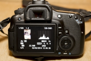 Canon 60D_1.jpg