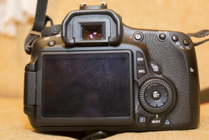 Canon 60D_2.jpg