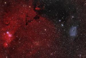 IC 447.jpg