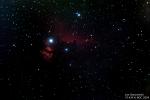 horsehead nebula.jpg