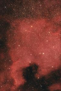 NGC7000_nowe.jpg