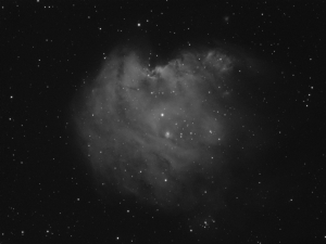 NGC2175all22_.jpg