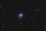 M101 110min.jpg