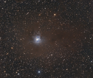 NGC7023b.jpg