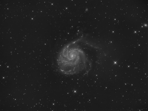 M101_L_FINAL5.jpg
