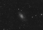 NGC2403_LFINAL3C4.jpg