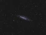 NGC4236_FINAL6_AE.jpg