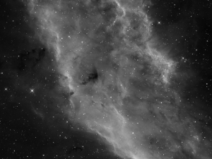 NGC1499_Ha_FINAL5A.jpg