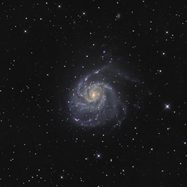 M101_FINAL8.jpg