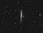 NGC4631_L_FINAL1_CROP.jpg