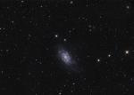 NGC2403_LRGB_FINAL7_1600.jpg