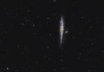 NGC4631_LRGB_FINAL5_CROP.jpg