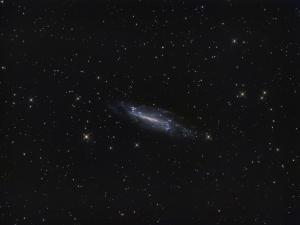 NGC4236_FINAL6.jpg