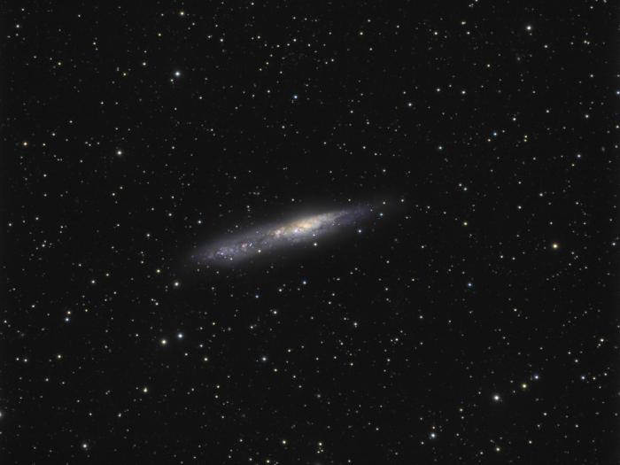 NGC55_FINAL7.jpg
