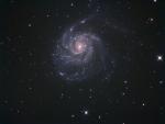 M101_FINAL5.jpg