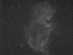 IC1848-002HA1800.jpg