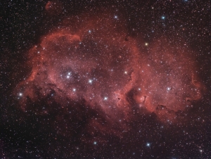 IC1848(1280x961)3.jpg