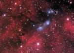 NGC6914.jpg