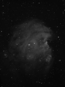 NGC2175all2222.jpg