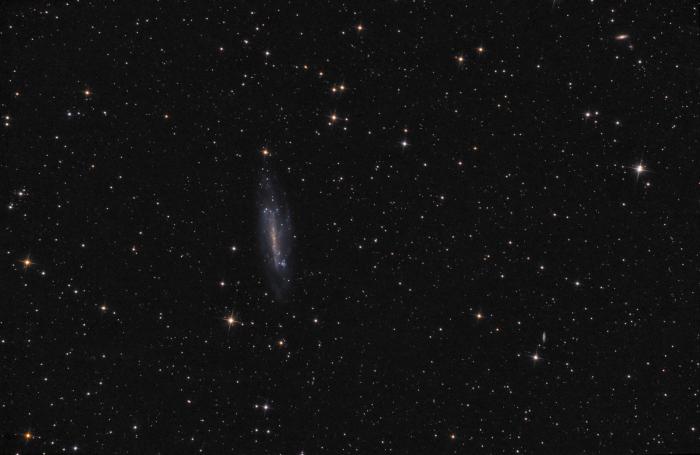 &#33;Final_NGC4236_1920px.jpg