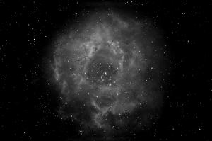 NGC2237_auto_MX.jpg