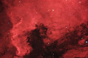 &#33;Final_HaRGB_NGC7000_1920px_bicubic.jpg