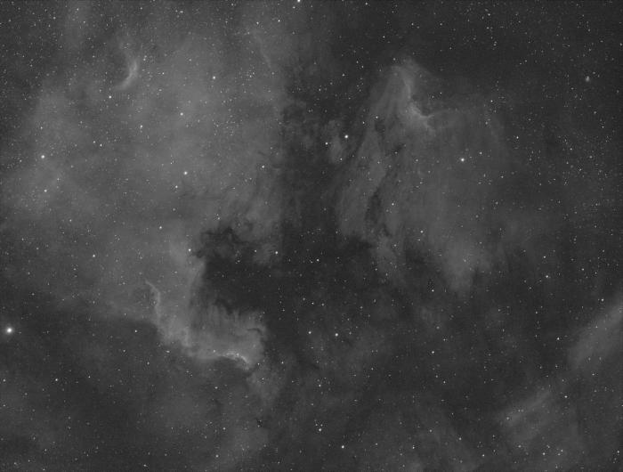 NGC7000 Scaled.jpg