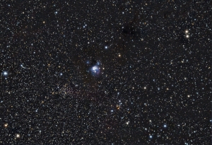 NGC7129_ver2f.jpg