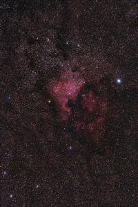 NGC7000_widefield8res.jpg