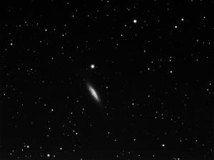 NGC6503b.jpg