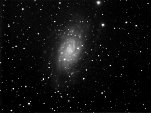 NGC2403av2.jpg