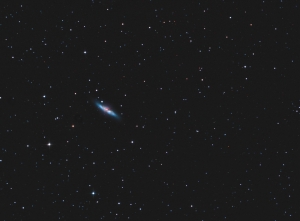 M82 final 2 crop.jpg