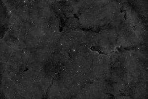 IC 1396 b.jpg