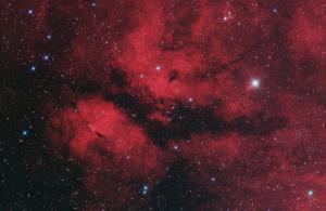 IC1318 stars 2 jpg small.jpg