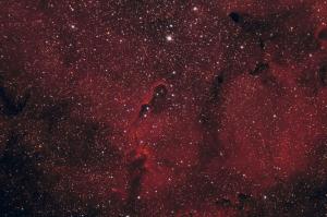 IC1396 ver 2 small.jpg