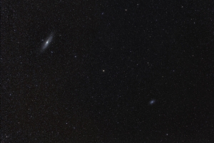 M3133_Loki.jpg