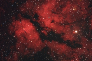 IC1318-Ha_P3s.jpg