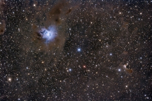 VdB141_NGC7023_44x15min_ver9d_res_maquu.jpg